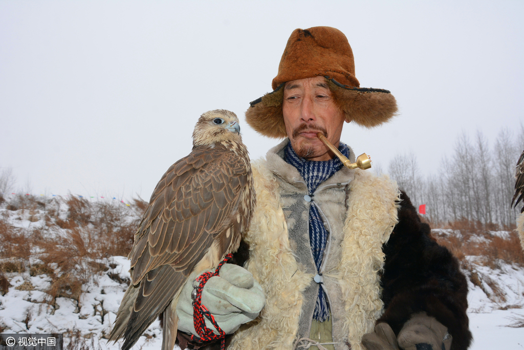 实拍东北鹰猎第一乡"鹰把式"冰天雪地驯鹰