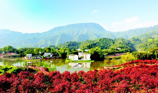 2016天台人口_好消息 天台人民一直关注的最长的隧道提前贯通了(3)