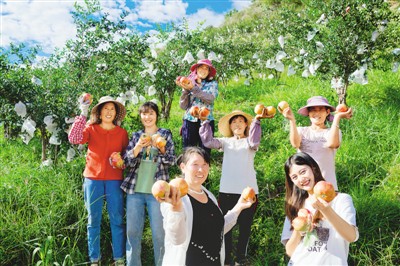 小众水果，牵手电商出深山