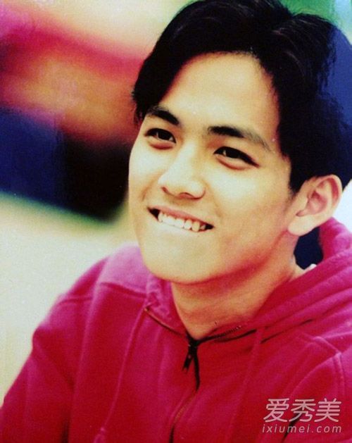 谢霆锋刘德华林志颖 他们的发型都是时代回忆