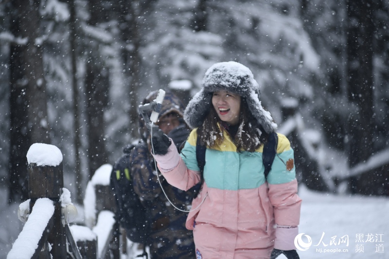 立冬日大雪飘落中国雪乡