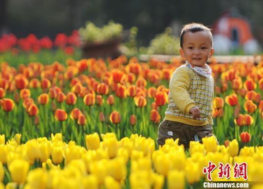 3月22日,小朋友在江西九江市濂溪区的九江新湖郁金香花博会现场玩耍。胡国林摄