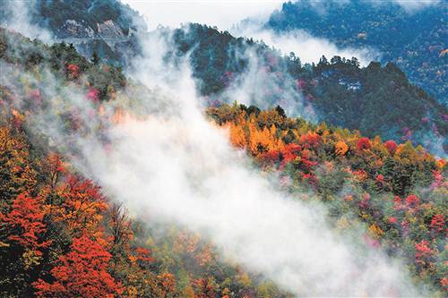 城口:构建"核心景区旅游 全域乡村旅游"发展格局