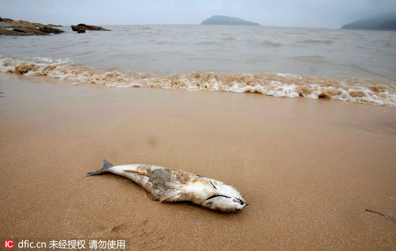 死鱼_女人死鱼是什么意思