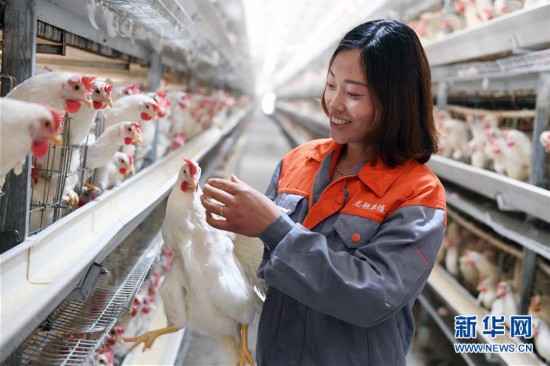 (新华全媒头条·两会特别报道·图文互动)(6)在推进高质量发展中创造广阔空间——从全国两会看奋进中国的发展机遇