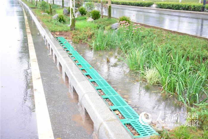 道路雨水收集,通过侧向收水口收纳雨水.