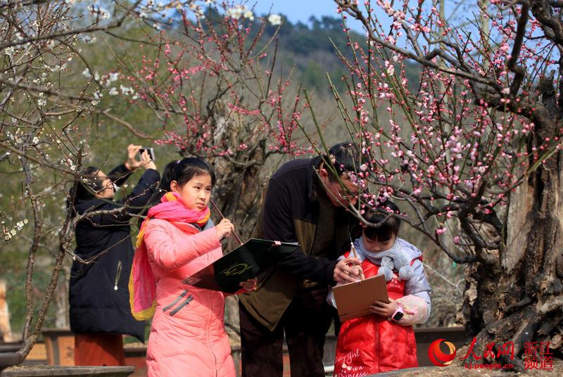 宁波宁海:梅花迎春开(组图)